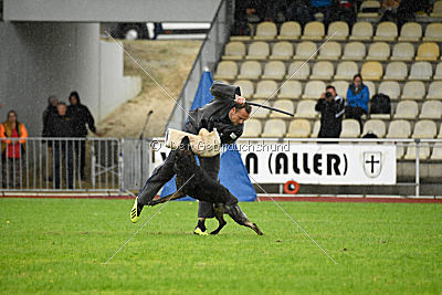 Dinoso vom Eisernen Kreuz