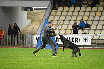 Dinoso vom Eisernen Kreuz