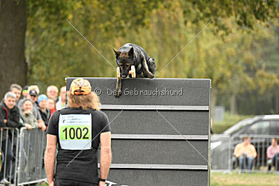 Dinoso vom Eisernen Kreuz