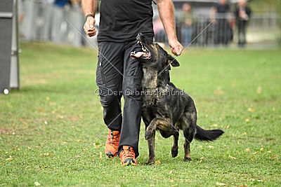 Dinoso vom Eisernen Kreuz