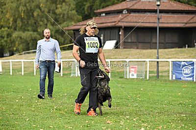 Dinoso vom Eisernen Kreuz
