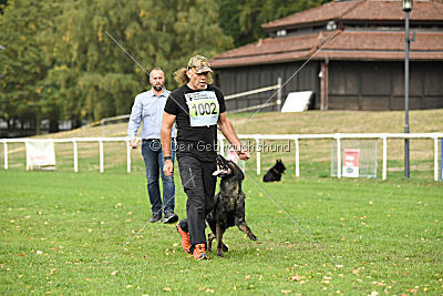 Dinoso vom Eisernen Kreuz