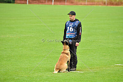 Django Unchained vom Mittelpunkt