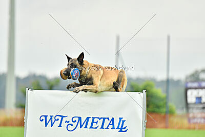 Django Unchained vom Mittelpunkt