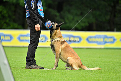 Django Unchained vom Mittelpunkt