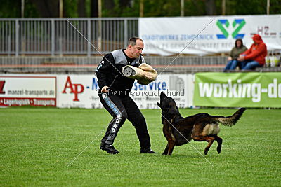 Djego (Schreiner)