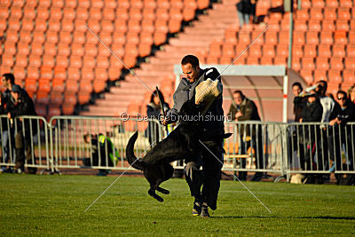 Djuke von den Wölfen