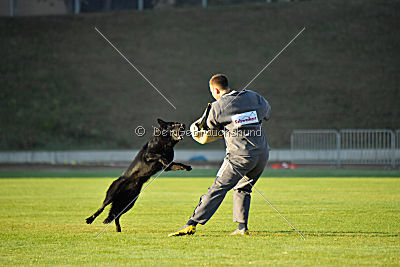 Djuke von den Wölfen