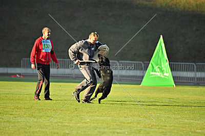 Djuke von den Wölfen