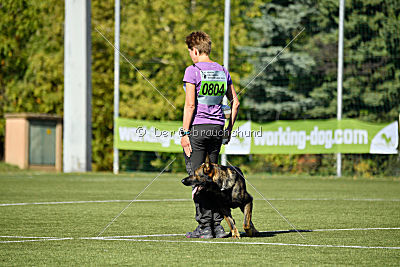 Dobby vom treuen Kamerad