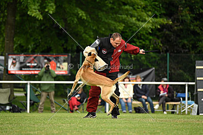 Doctor vom Hirtengarten