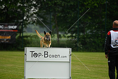 Doctor vom Hirtengarten