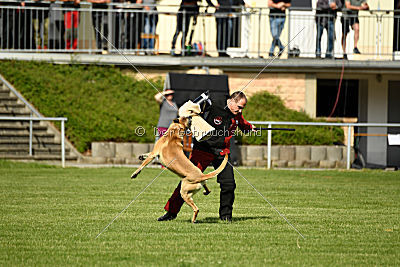 Doctor vom Hirtengarten