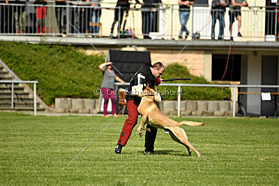 Doctor vom Hirtengarten