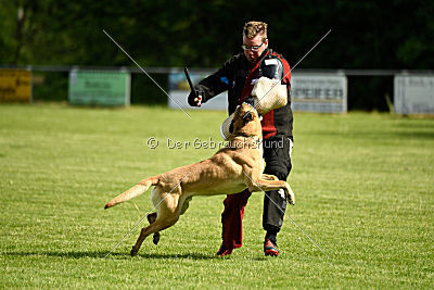 Doctor vom Hirtengarten
