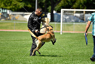 Doctor vom Hirtengarten