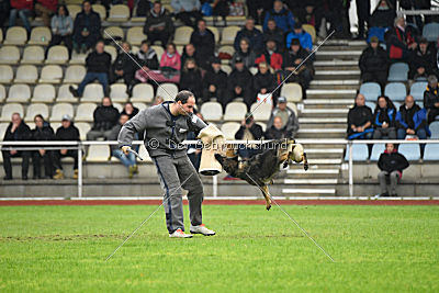 Dörthe vom Hause Schöntag