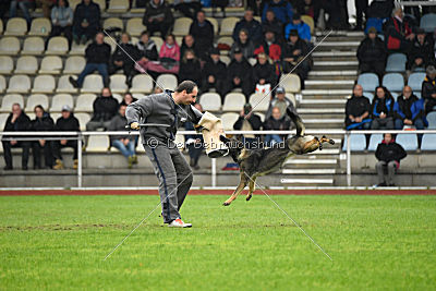 Dörthe vom Hause Schöntag