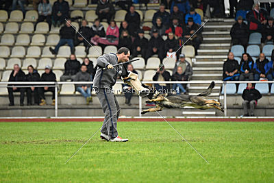 Dörthe vom Hause Schöntag