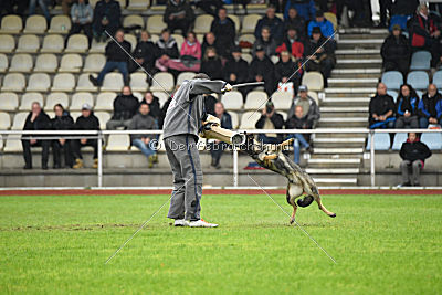Dörthe vom Hause Schöntag