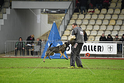 Dörthe vom Hause Schöntag