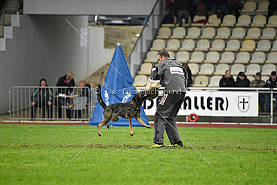 Dörthe vom Hause Schöntag