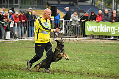 Dörthe vom Hause Schöntag