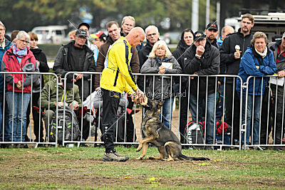 Dörthe vom Hause Schöntag