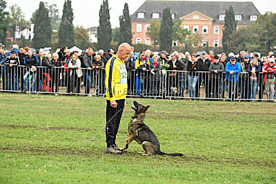 Dörthe vom Hause Schöntag