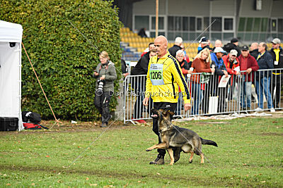 Dörthe vom Hause Schöntag