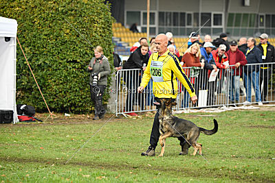 Dörthe vom Hause Schöntag