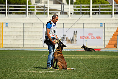 Dog John's Ikai
