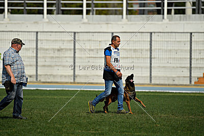 Dog John's Ikai