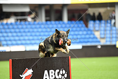 Dolf von S.K. Lieben