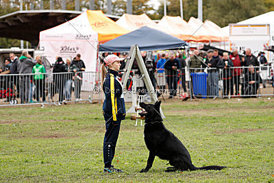 Don vom Schwarzen-Kessel