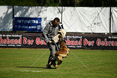 Donar Bestiaras