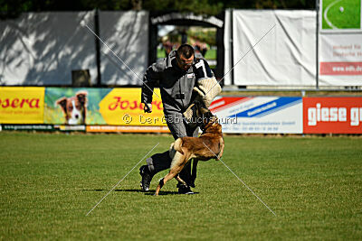 Donar Bestiaras