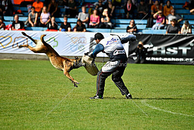 Donar Bestiaras