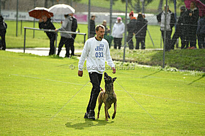Donar Bestiaras