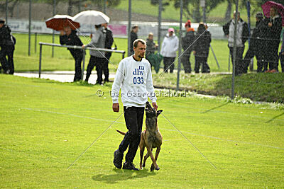 Donar Bestiaras