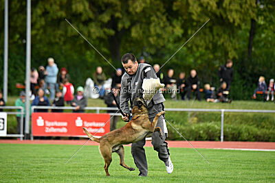 Donar Bestiaras