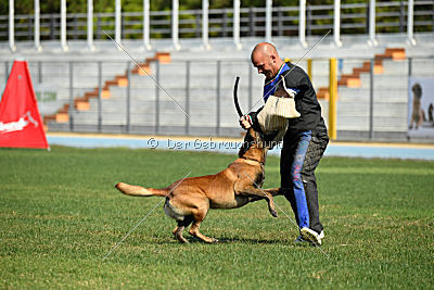 Dr Pepper Betkin dvor