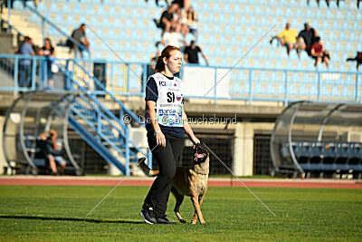 Dragonheart Gigi Marenberska