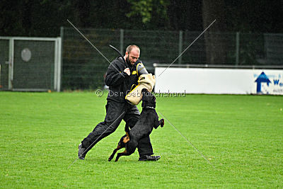 Dublin aus der Bohmter Heide