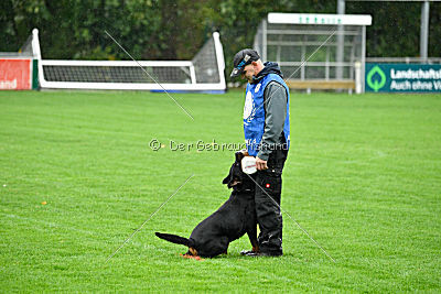 Dublin aus der Bohmter Heide