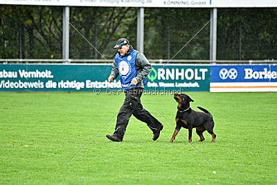 Dublin aus der Bohmter Heide