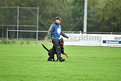 Dublin aus der Bohmter Heide