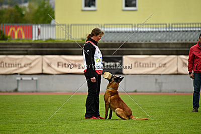 Dukati Betkin dvor