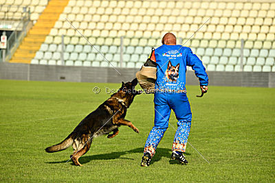 Duke (Kuipers)