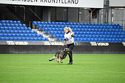 Duke vom Spektefeld